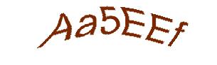 عبارت امنیتی