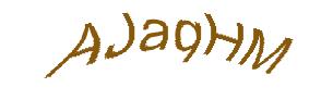 عبارت امنیتی