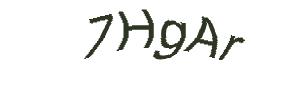 عبارت امنیتی