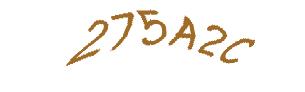 عبارت امنیتی