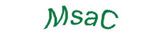 عبارت امنیتی