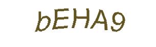 عبارت امنیتی