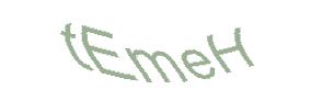 عبارت امنیتی