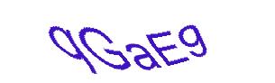 عبارت امنیتی
