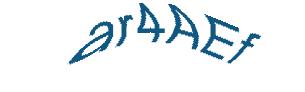 عبارت امنیتی