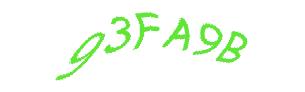 عبارت امنیتی