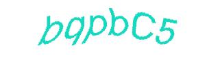 عبارت امنیتی