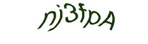 عبارت امنیتی