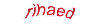 عبارت امنیتی