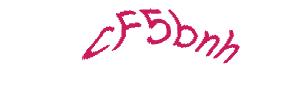 عبارت امنیتی