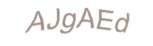عبارت امنیتی