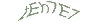 عبارت امنیتی