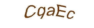 عبارت امنیتی