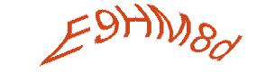 عبارت امنیتی