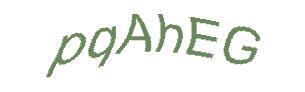 عبارت امنیتی