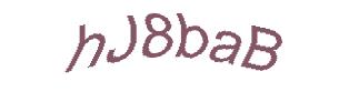 عبارت امنیتی
