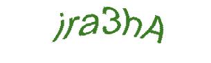 عبارت امنیتی