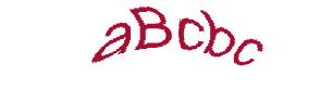 عبارت امنیتی