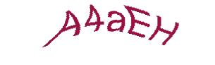 عبارت امنیتی