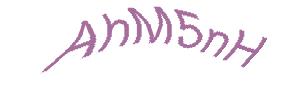 عبارت امنیتی