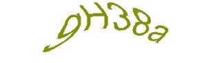عبارت امنیتی