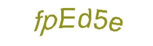 عبارت امنیتی
