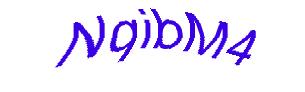 عبارت امنیتی