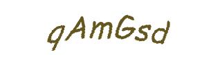 عبارت امنیتی