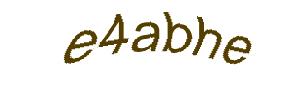 عبارت امنیتی