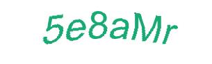 عبارت امنیتی