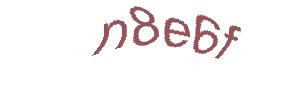 عبارت امنیتی