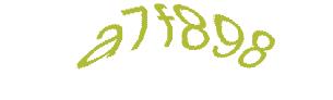 عبارت امنیتی