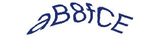 عبارت امنیتی