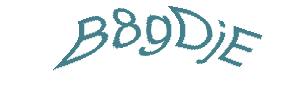 عبارت امنیتی