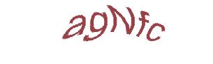 عبارت امنیتی