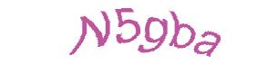 عبارت امنیتی