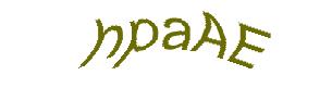 عبارت امنیتی