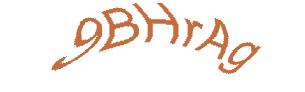 عبارت امنیتی