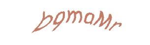 عبارت امنیتی
