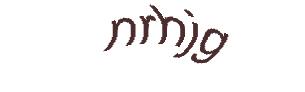 عبارت امنیتی