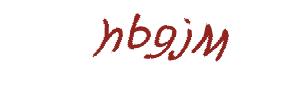 عبارت امنیتی