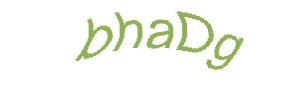 عبارت امنیتی