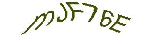 عبارت امنیتی