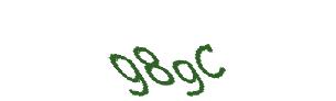 عبارت امنیتی
