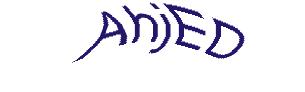 عبارت امنیتی