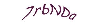 عبارت امنیتی
