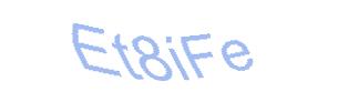 عبارت امنیتی