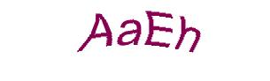 عبارت امنیتی
