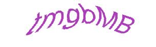 عبارت امنیتی