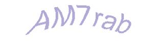 عبارت امنیتی